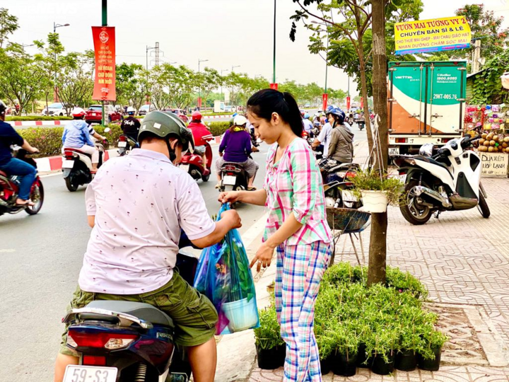 Hoa Tết ồ ạt xuống phố, TP.HCM rực rỡ sắc màu ngày cuối năm - 3