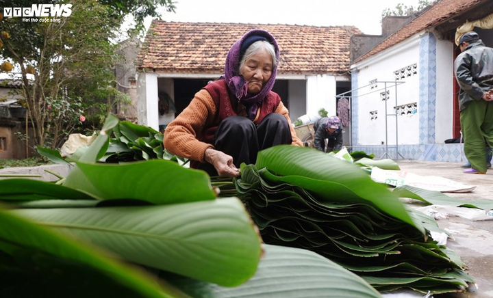 Ảnh: Lá dong Tràng Cát xuất ngoại cho Việt kiều gói bánh chưng đón Tết - 9