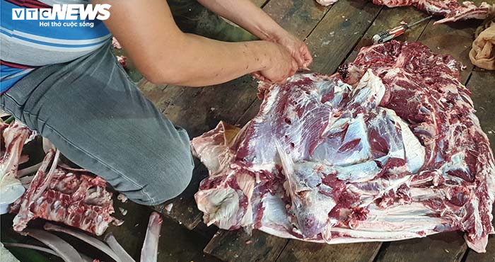 Ảnh: Về quê xem dân Hải Phòng ‘đụng’ trâu ăn Tết - 15