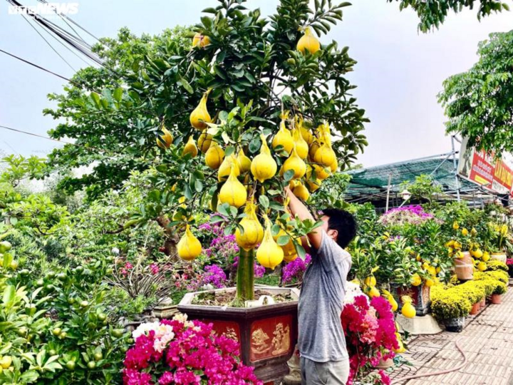 Hoa Tết ồ ạt xuống phố, TP.HCM rực rỡ sắc màu ngày cuối năm - 4