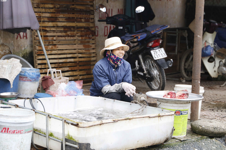 Người dân Đồng Tâm trưng đào, quất hối hả chuẩn bị đón Tết - 6