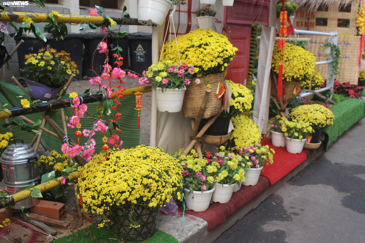 Cận cảnh đường hoa Tết đầu tiên trong bệnh viện ở TP.HCM - 4