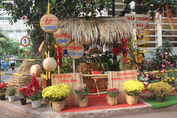 Cận cảnh đường hoa Tết đầu tiên trong bệnh viện ở TP.HCM - 5