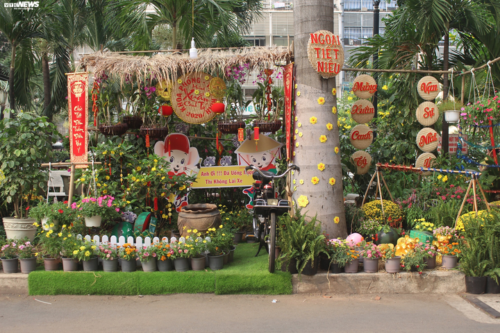 Cận cảnh đường hoa Tết đầu tiên trong bệnh viện ở TP.HCM - 11