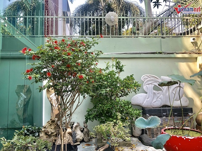 Nhà hơn 50 năm tuổi trưng bày hàng trăm tượng Phật của NSND Kim Cương - 17