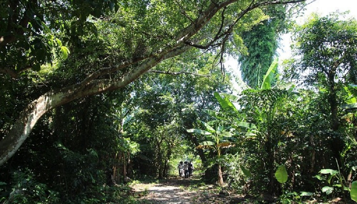 Quảng Trị làm gì để đánh thức 'Hòn ngọc xanh' trên Biển Đông? - 3