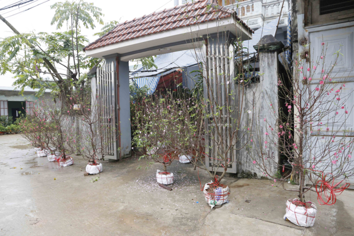 Người Đồng Tâm: Người ta nghĩ cả làng này đều chống đối, nhưng không phải, chỉ một nhóm thôi - 3