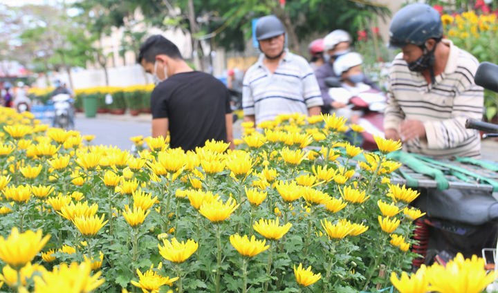 Trăm hoa khoe sắc Xuân giữa lòng phố cổ Hội An - 4