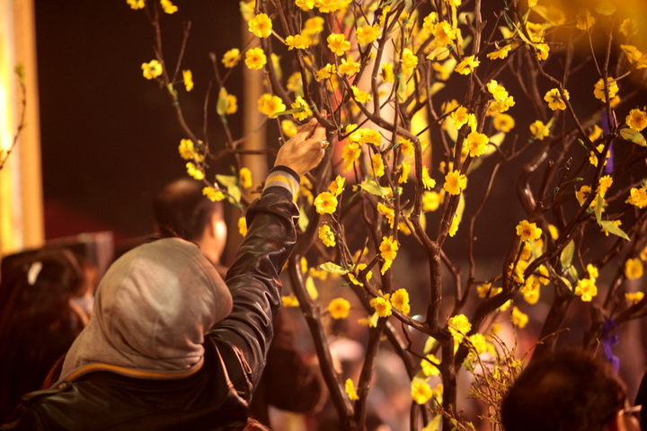 Ý nghĩa không phải ai cũng biết của tục hái lộc đầu xuân - 2