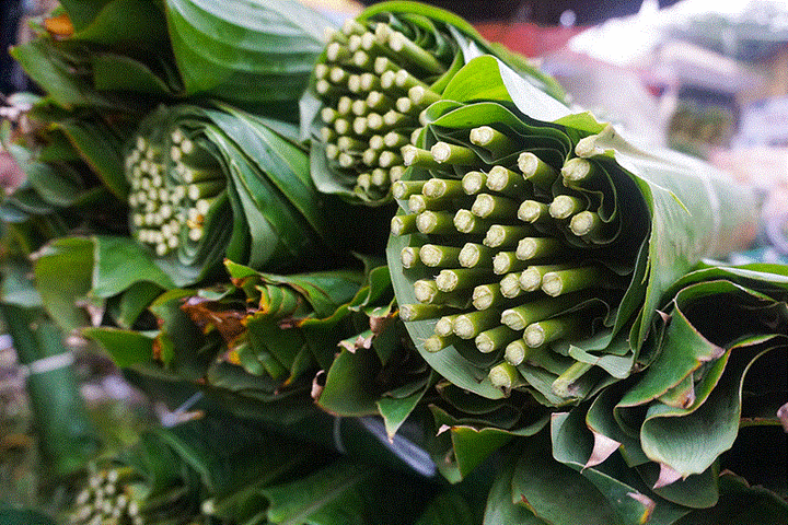 Độc đáo khu chợ bán hơn nửa triệu lá dong mỗi ngày - 5
