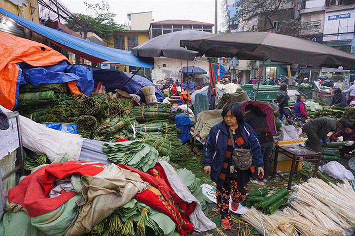 Độc đáo khu chợ bán hơn nửa triệu lá dong mỗi ngày - 9