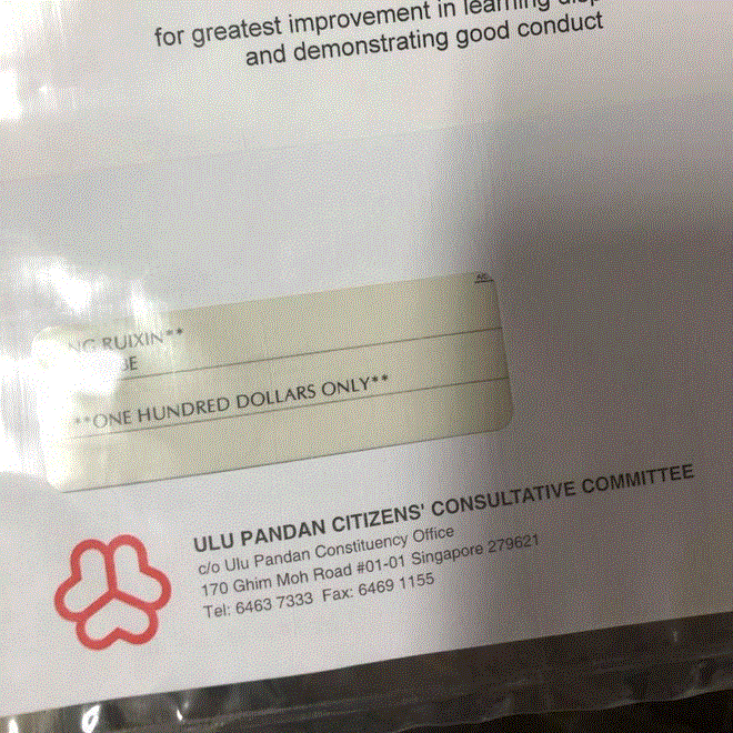 Bé gái thất vọng khi được Bộ Giáo dục Singapore thưởng tiền - 2