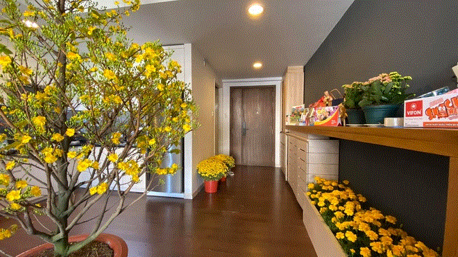 Đàm Vĩnh Hưng và loạt sao Việt trang trí nhà cửa đẹp mắt đón Tết Canh Tý - 9