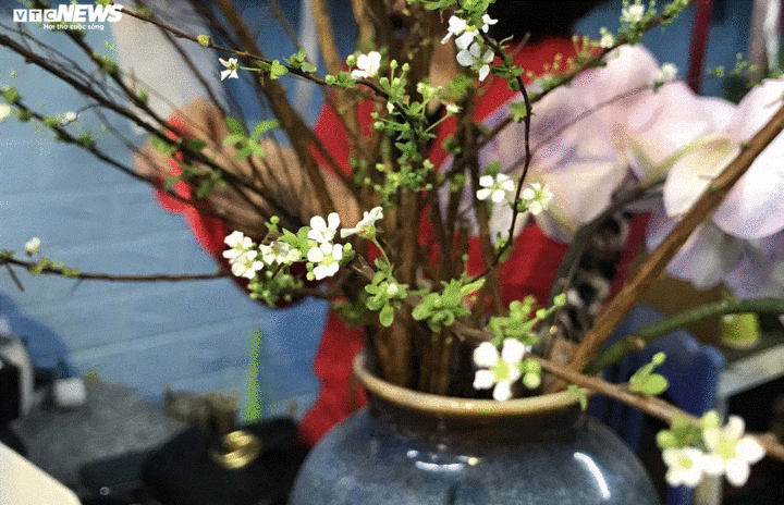 Săn hoa lạ chơi Tết thay đào, mai - 7