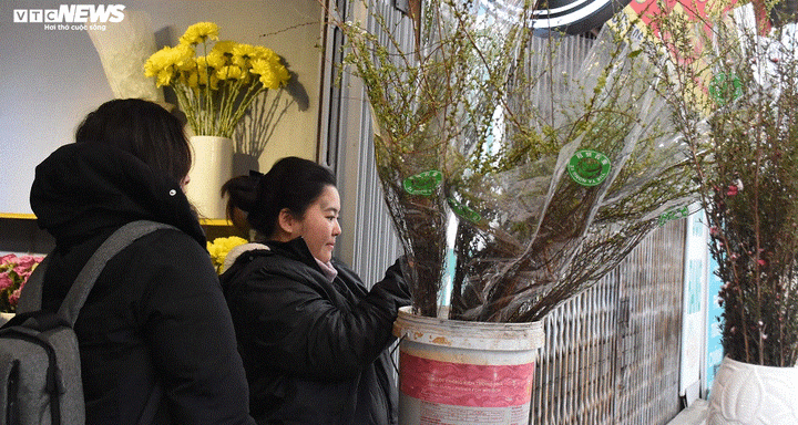 Săn hoa lạ chơi Tết thay đào, mai - 4