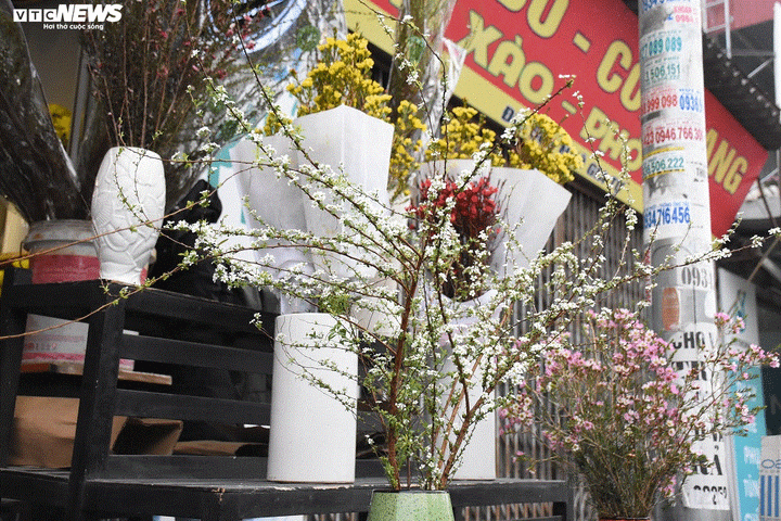 Săn hoa lạ chơi Tết thay đào, mai - 8