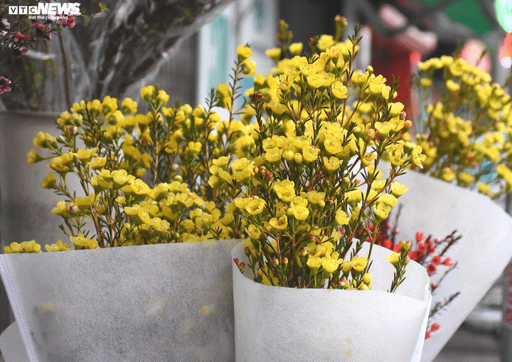 Săn hoa lạ chơi Tết thay đào, mai - 12