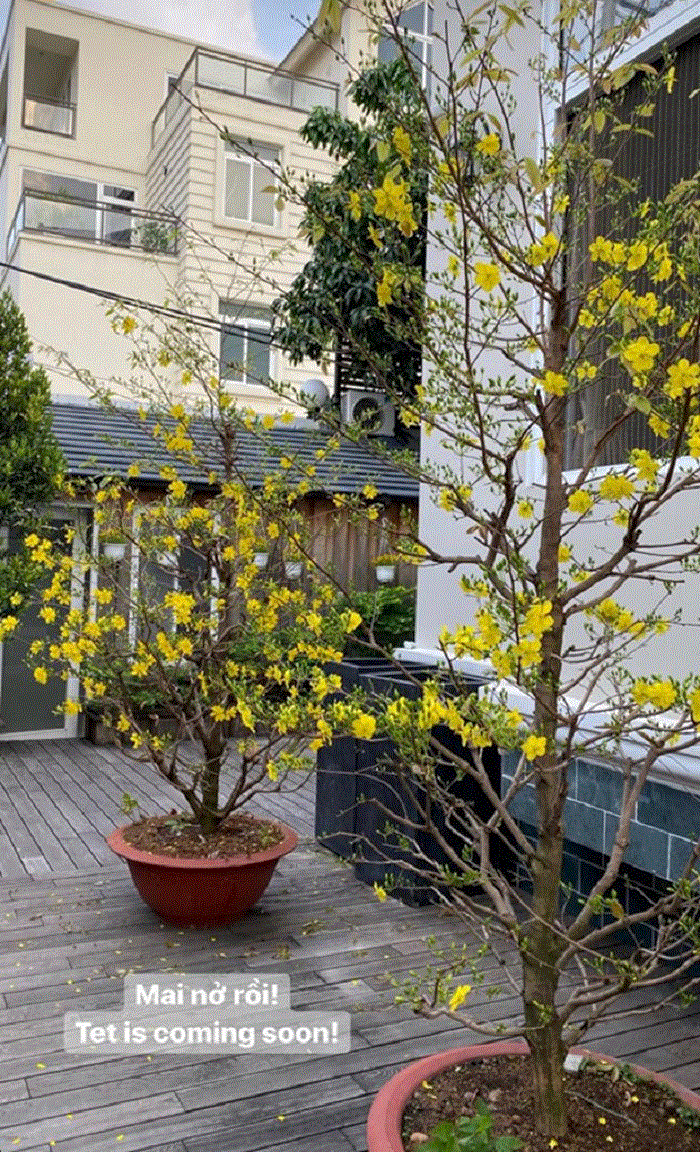 Đàm Vĩnh Hưng và loạt sao Việt trang trí nhà cửa đẹp mắt đón Tết Canh Tý - 12