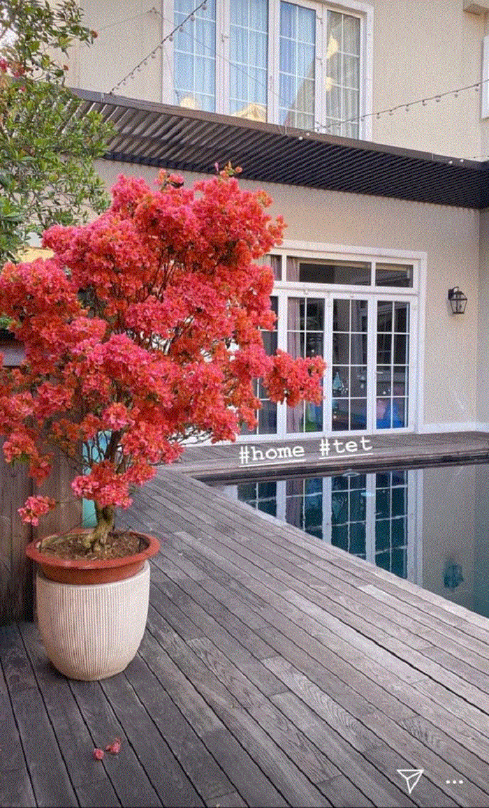 Đàm Vĩnh Hưng và loạt sao Việt trang trí nhà cửa đẹp mắt đón Tết Canh Tý - 11