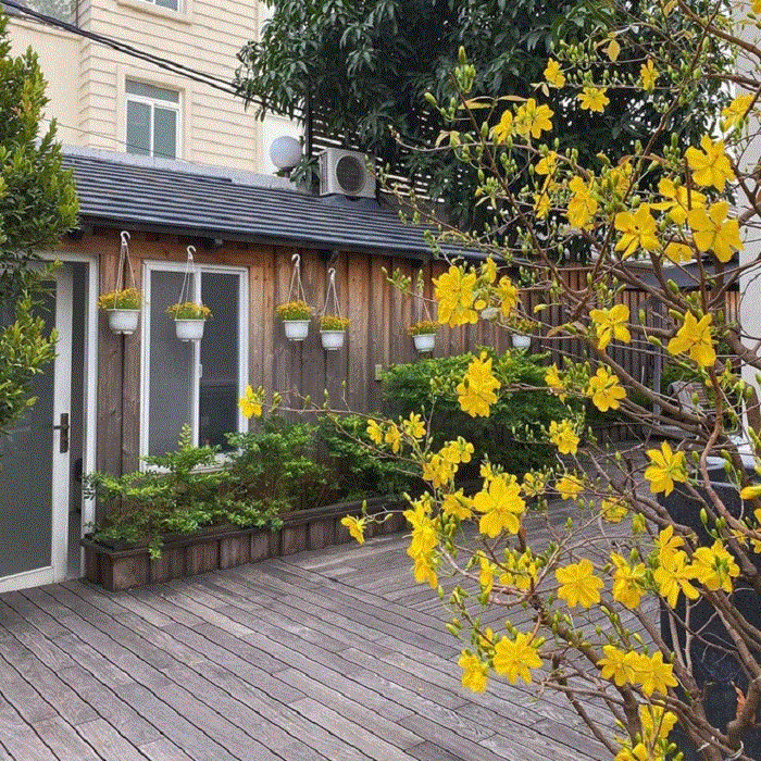 Đàm Vĩnh Hưng và loạt sao Việt trang trí nhà cửa đẹp mắt đón Tết Canh Tý - 10