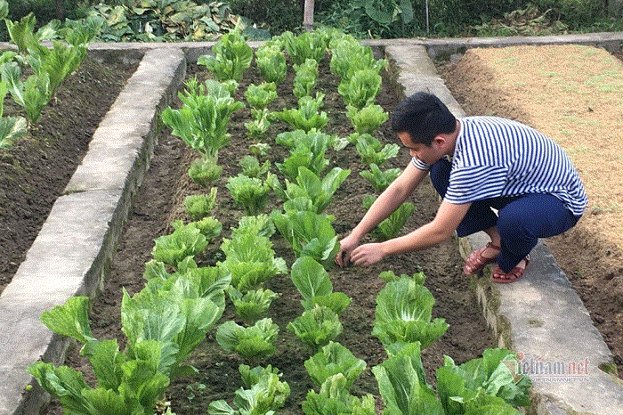 Lính hải quân bày lá gói bánh chưng, cùng nhau đón Tết cổ truyền nơi đảo xa - 13
