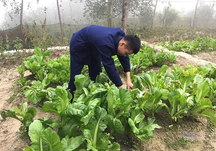 Lính hải quân bày lá gói bánh chưng, cùng nhau đón Tết cổ truyền nơi đảo xa - 14