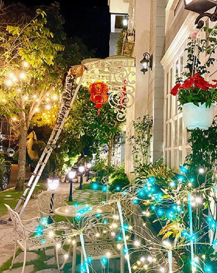 Đàm Vĩnh Hưng và loạt sao Việt trang trí nhà cửa đẹp mắt đón Tết Canh Tý - 14