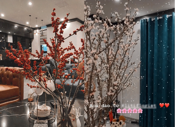Đàm Vĩnh Hưng và loạt sao Việt trang trí nhà cửa đẹp mắt đón Tết Canh Tý - 15