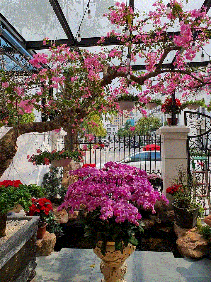 Đàm Vĩnh Hưng và loạt sao Việt trang trí nhà cửa đẹp mắt đón Tết Canh Tý - 5