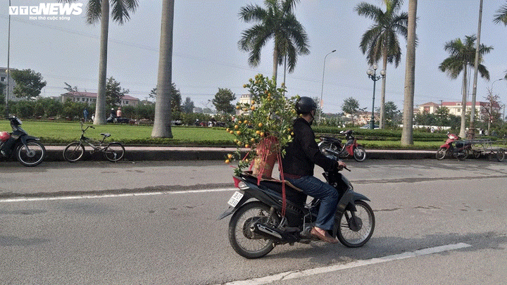 Chở cây cảnh thuê dịp Tết, dân Hà Tĩnh kiếm tiền triệu mỗi ngày - 9