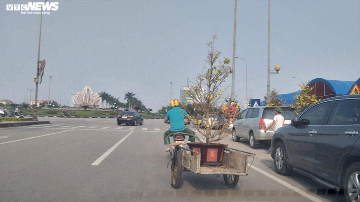 Chở cây cảnh thuê dịp Tết, dân Hà Tĩnh kiếm tiền triệu mỗi ngày - 12