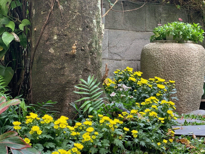 Đàm Vĩnh Hưng trang hoàng biệt thự lộng lẫy đón Tết - 10