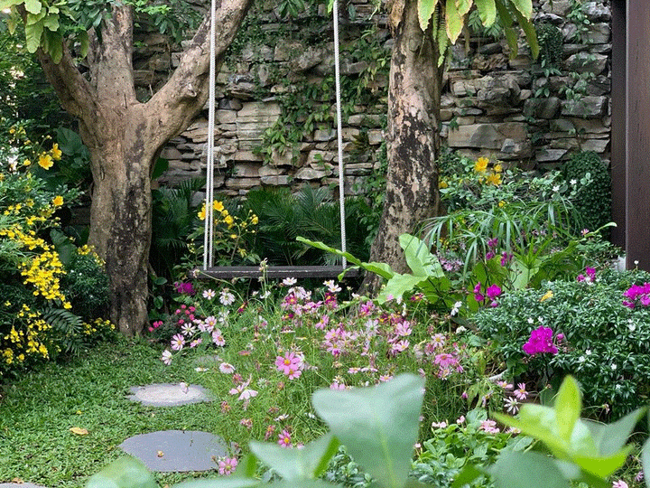 Đàm Vĩnh Hưng trang hoàng biệt thự lộng lẫy đón Tết - 9