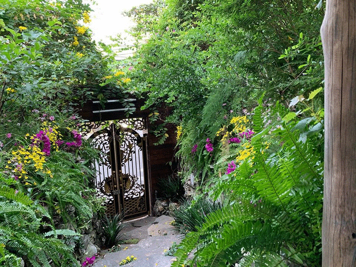 Đàm Vĩnh Hưng trang hoàng biệt thự lộng lẫy đón Tết - 8