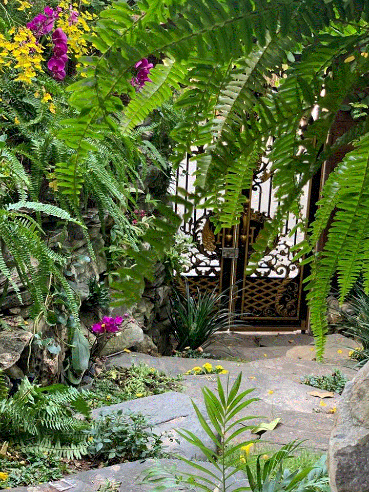 Đàm Vĩnh Hưng trang hoàng biệt thự lộng lẫy đón Tết - 7