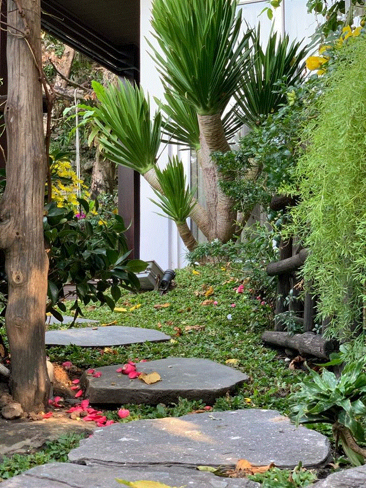 Đàm Vĩnh Hưng trang hoàng biệt thự lộng lẫy đón Tết - 6