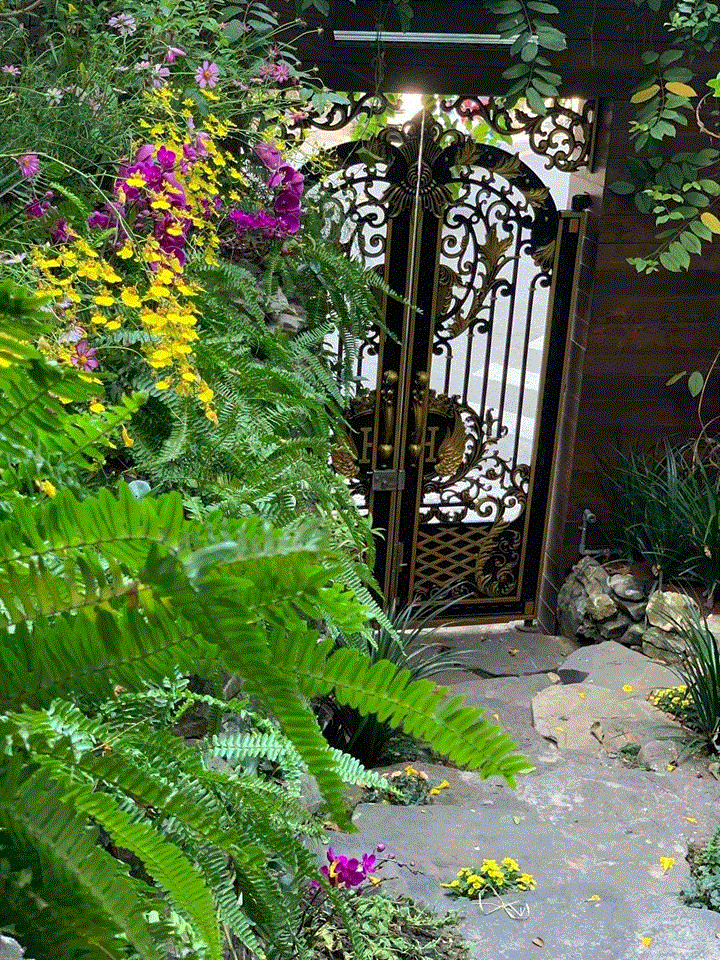 Đàm Vĩnh Hưng trang hoàng biệt thự lộng lẫy đón Tết - 11