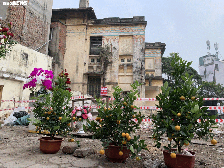 Bâng khuâng ngày Tết trong ngôi biệt thự phát sóng bản Tuyên ngôn độc lập - 1