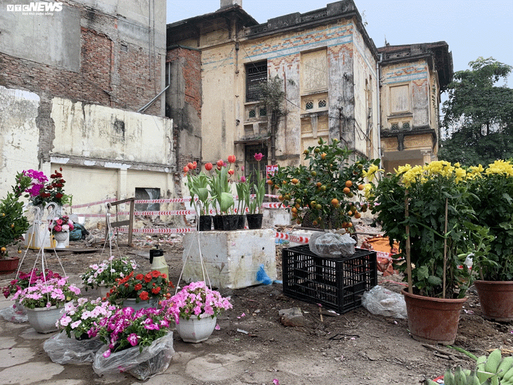 Bâng khuâng ngày Tết trong ngôi biệt thự phát sóng bản Tuyên ngôn độc lập - 3