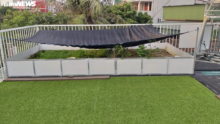 Đón Tết trong ngôi nhà bằng thùng container độc đáo ở Hà Tĩnh - 10