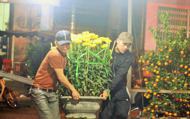 Dân đợi 30 Tết mới đi mua hoa Tết, người bán khóc ròng - 2