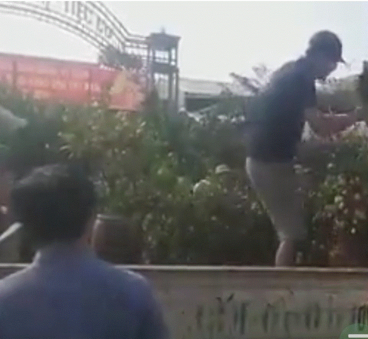 Hà Tĩnh: Người đàn ông nhảy lên ô tô công vụ chặt quất cảnh bị tịch thu - 1