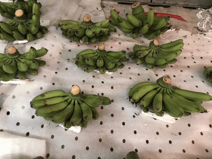 29 Tết Canh Tý: Thịt bò, gà đua nhau tăng giá, thịt lợn ế ẩm đứng yên - 3