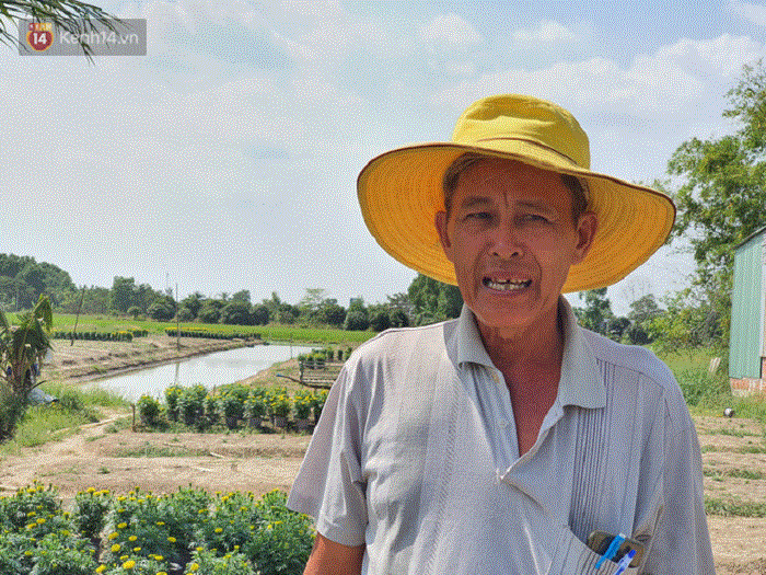 Thương lái 'bùng' 3.000 chậu hoa vạn thọ của lão nông Sài Gòn vào 28 Tết, cộng đồng mạng chung tay mua sạch - 5