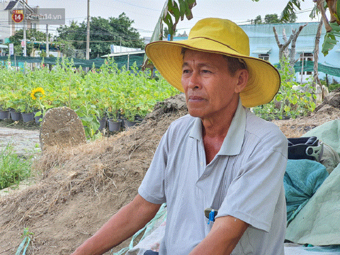 Thương lái 'bùng' 3.000 chậu hoa vạn thọ của lão nông Sài Gòn vào 28 Tết, cộng đồng mạng chung tay mua sạch - 3