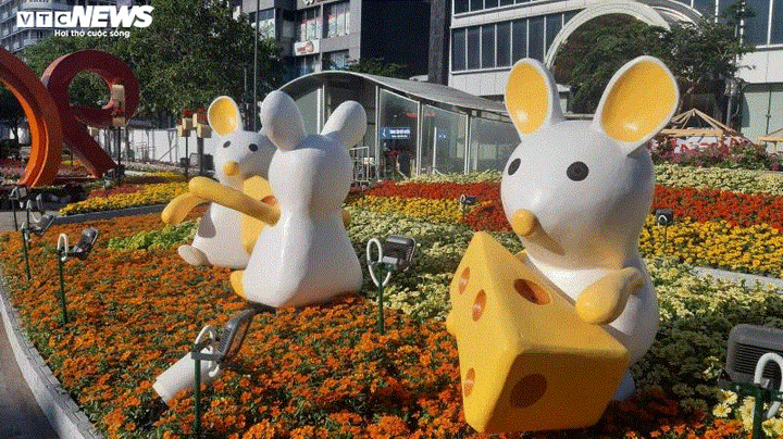 Hàng nghìn du khách tham dự lễ khai mạc đường hoa Nguyễn Huệ trong đêm - 10