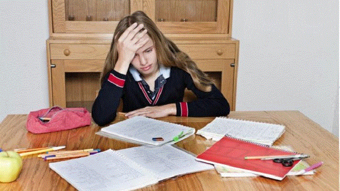 Nỗi lo của học sinh nghỉ Tết vẫn bị thầy cô giao bài tập về nhà - 1