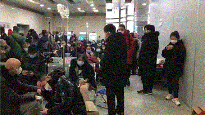 Gấp rút bào chế vaccine chống virus corona - 1