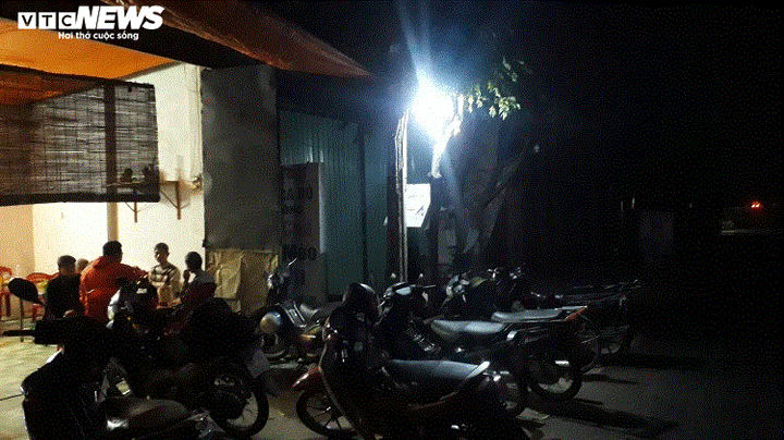 Ảnh: Nửa đêm rọi đèn xem nông dân Thái Bình thu hoạch su hào bán Tết - 7