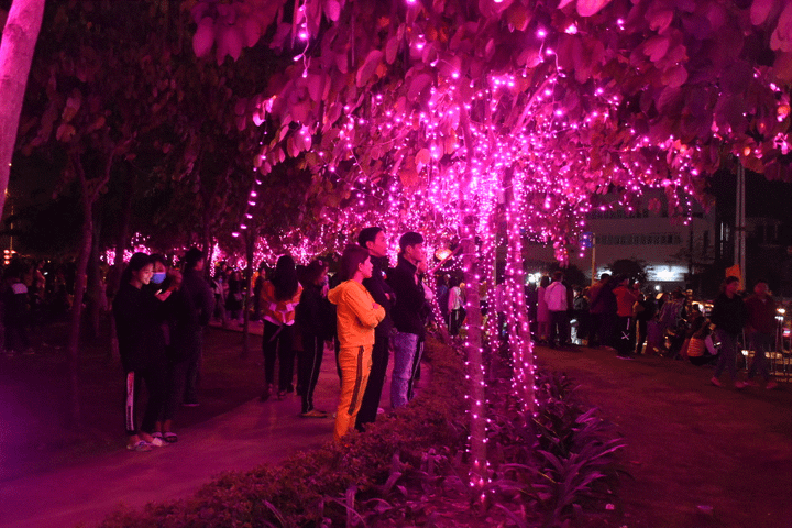 TRỰC TIẾP: Người dân đổ về điểm bắn pháo hoa đón Giao thừa năm mới Canh Tý - 15